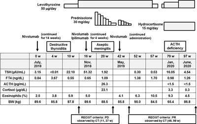 Case Report: A Variety of Immune-Related Adverse Events Triggered by Immune Checkpoint Inhibitors in a Subject With Malignant Melanoma: Destructive Thyroiditis, Aseptic Meningitis and Isolated ACTH Deficiency